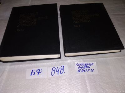 Лот: 12818053. Фото: 1. Сводный словарь современной русской... Словари