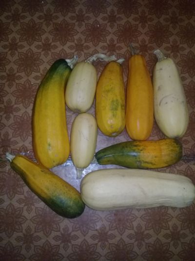 Лот: 15674821. Фото: 1. кабачки. Овощи, фрукты, зелень
