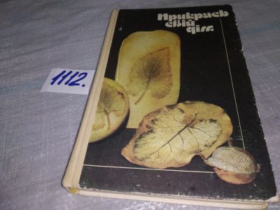 Лот: 18173087. Фото: 1. Л.П. Гура, Л.Е. Жоголь, Н.Н. Исупова... Домоводство