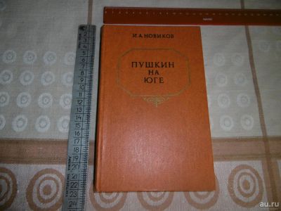 Лот: 10022539. Фото: 1. "Пушкин на юге" новиков И.А. Изд... Искусствоведение, история искусств