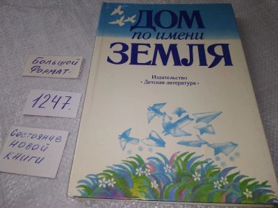 Лот: 19224327. Фото: 1. Дом по имени Земля | Никольский... Художественная для детей
