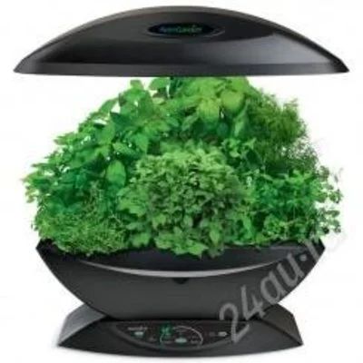 Лот: 2686791. Фото: 1. Aerogarden - сад на столе. Другое (комнатные растения и уход)