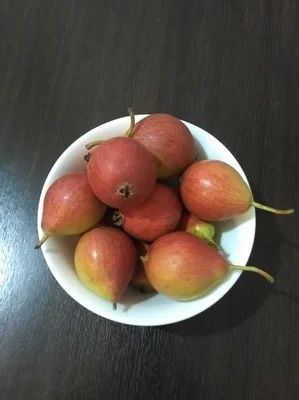 Лот: 7940936. Фото: 1. Груша новый урожай. Овощи, фрукты, зелень