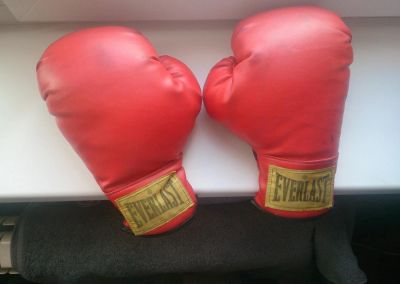 Лот: 9397371. Фото: 1. Детские боксерские перчатки Everlast... Перчатки