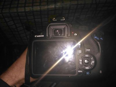 Лот: 9918644. Фото: 1. Canon 1200D. Цифровые зеркальные