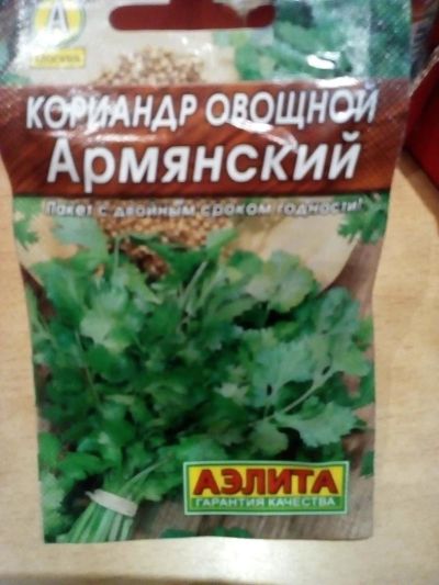 Лот: 10926147. Фото: 1. Кориандр овощной "Армянский... Пряные и лекарственные травы