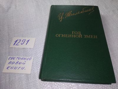 Лот: 19293522. Фото: 1. Жимбиев Цыден-Жап. Год огненной... Художественная