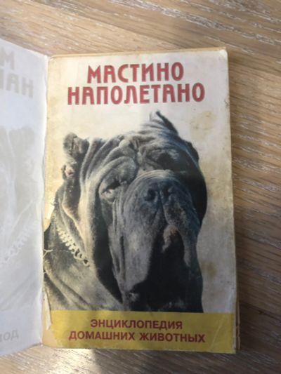 Лот: 12608096. Фото: 1. Энциклопедия домашних животных. Домашние животные