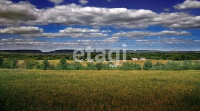 Лот: 25288414. Фото: 1. участок , деревня Таскино деревня... Земельные участки