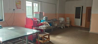 Лот: 25806692. Фото: 1. тестоотсадочная машина ИНФЕЛ МВ-250. Другое (бытовая техника)