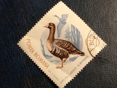 Лот: 24926830. Фото: 1. - Марки для Вашей коллекции. лот... Марки