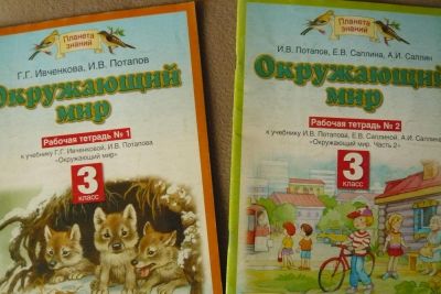 Лот: 5991741. Фото: 1. Рабочая тетрадь № 1 и 2,Окружающий... Другое (учёба (школа, вуз))