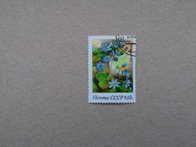 Лот: 14794778. Фото: 1. марка СССР кл 124. Марки