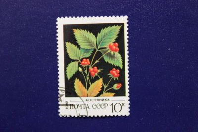 Лот: 6849555. Фото: 1. Почтовая марка №4017 в коллекцию. Марки