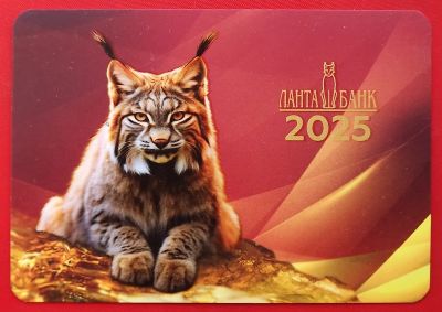 Лот: 25066857. Фото: 1. (№4844-5) календарик "2025-й год... Календари