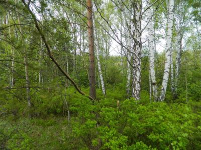 Лот: 14536875. Фото: 1. Продается участок 14 сот. , цена... Земельные участки