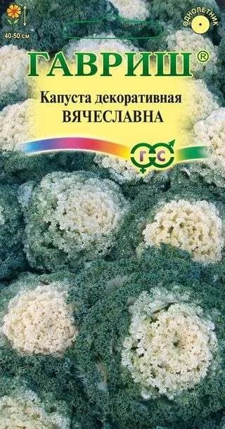 Лот: 11024709. Фото: 1. Капуста декоративн, Вячеславна... Садовые цветы