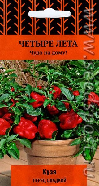 Лот: 9017680. Фото: 1. Рассада, перец сладкий, горшечный. Овощи