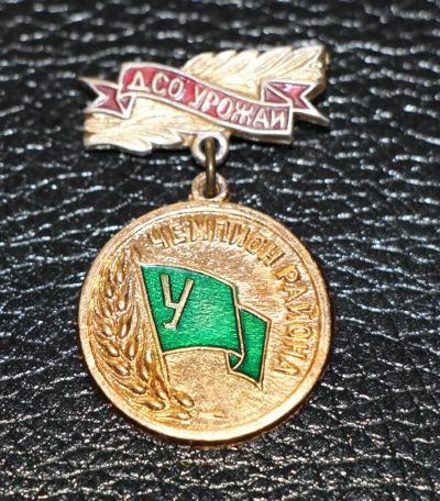 Лот: 3830430. Фото: 1. Знак ДСО Урожай. Чемпион района... Сувенирные
