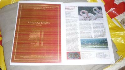 Лот: 1543800. Фото: 1. Буклет по монетам из серии Красная... Аксессуары, литература