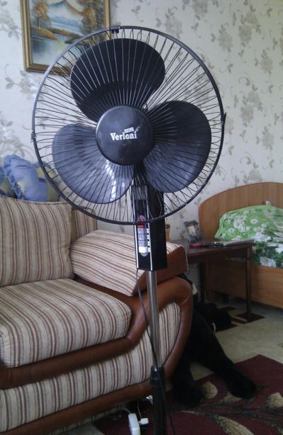 Лот: 4214368. Фото: 1. Вентилятор напольный Verloni. Вентиляторы бытовые