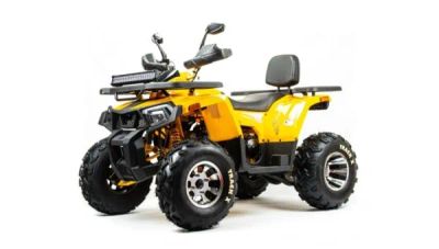 Лот: 25659243. Фото: 1. Квадроцикл BISON Track X PRO. Снегоходы, квадроциклы