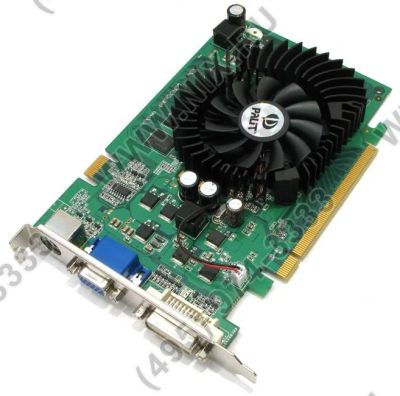 Лот: 4905517. Фото: 1. palit geforce 8500gt 256mb. Видеокарты