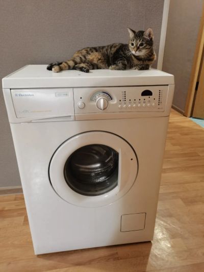 Лот: 21421306. Фото: 1. Стиральная машина Electrolux EWS... Стиральные машины