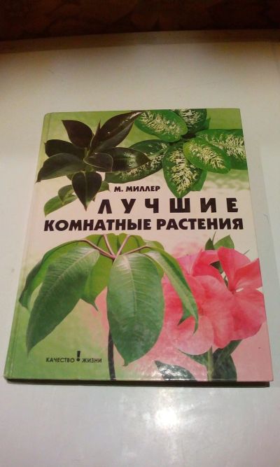 Лот: 16661575. Фото: 1. Книга "Лучшие комнатные растения... Сад, огород, цветы