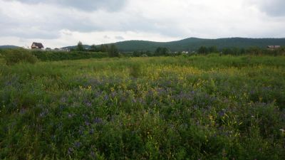 Лот: 8994086. Фото: 1. Кузнецовское плато ИЖС. Земельные участки
