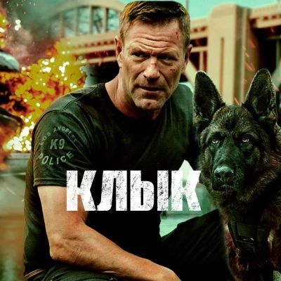 Лот: 24290803. Фото: 1. Клык. Видеозаписи, фильмы