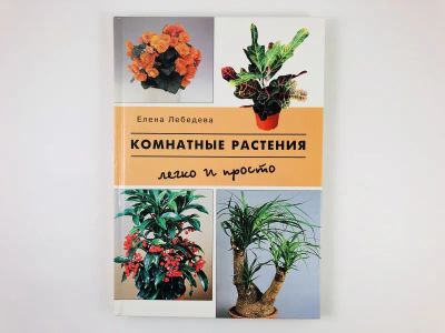 Лот: 23276558. Фото: 1. Комнатные растения. Лебедева Е... Сад, огород, цветы