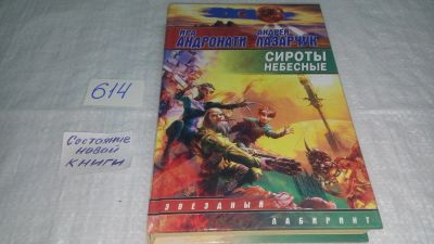 Лот: 10708604. Фото: 1. Сироты небесные, Ирина Андронати... Художественная