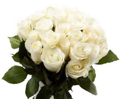 Лот: 6089774. Фото: 1. Букет из 21 белой розы. Свежие цветы