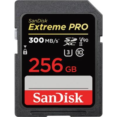 Лот: 21438131. Фото: 1. Карта памяти SanDisk 256GB Extreme... Карты памяти