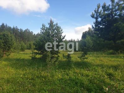 Лот: 25294426. Фото: 1. участок , садоводческое некоммерческое... Земельные участки