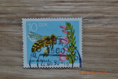 Лот: 5530944. Фото: 1. Марка ГДР 1990г. Пчела на цветке... Марки