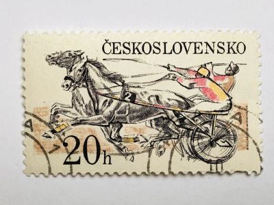 Лот: 23316157. Фото: 1. Конный спорт. Гонки. 20 геллер... Марки
