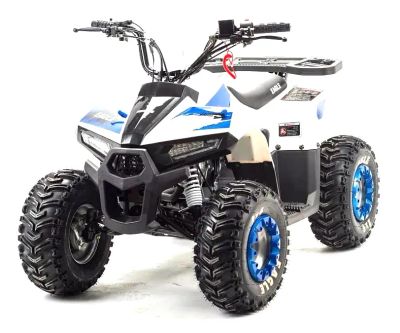 Лот: 25659203. Фото: 1. Квадроцикл MZ Eagle 110. Снегоходы, квадроциклы