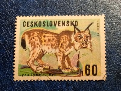 Лот: 25783467. Фото: 1. - Марки для Вашей коллекции. лот... Марки