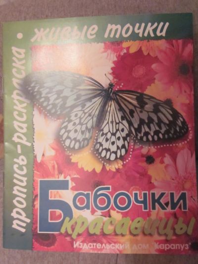 Лот: 3984010. Фото: 1. Пропись-раскраска "Бабочки-красавицы... Для рисования