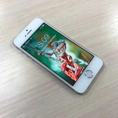 Лот: 8917379. Фото: 1. Apple iPhone 5s 32 ГБ 32gb Silver. Смартфоны