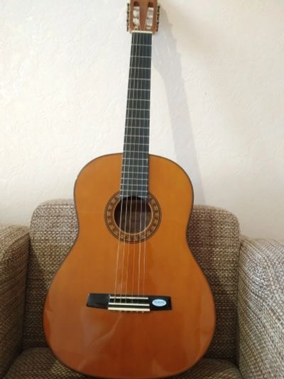 Лот: 15758810. Фото: 1. Гитара Valencia CG180. Гитары