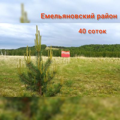 Лот: 25296975. Фото: 1. участок , деревня Мужичкино деревня... Земельные участки