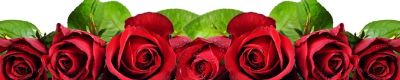 Лот: 11035130. Фото: 1. Фартук для кухни Бархатные розы... Столешницы, барные стойки