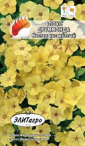 Лот: 11025584. Фото: 1. Флокс Мистер Икс Желтый 0,1гр... Садовые цветы