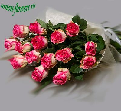 Лот: 2972982. Фото: 1. Розы Малибу, букет из 25 штук... Другое (цветы, букеты)