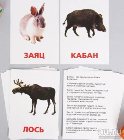 Лот: 16393725. Фото: 1. Обучающие карточки с описанием. Развивающие
