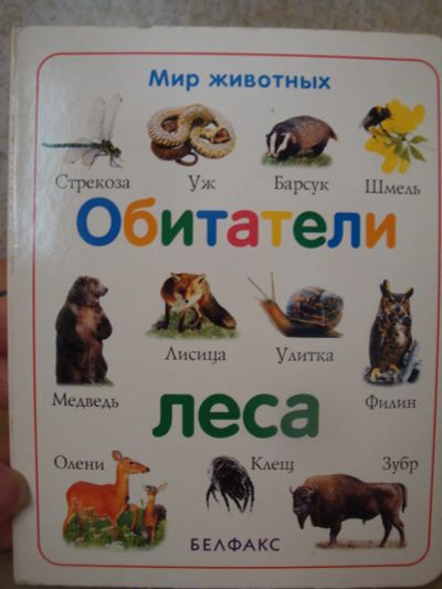 Лот: 8257395. Фото: 1. детская книга/Мир животных/Обитатели... Познавательная литература