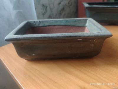 Лот: 14387993. Фото: 1. Бонсайница 3. Кашпо, горшки, вазоны для цветов